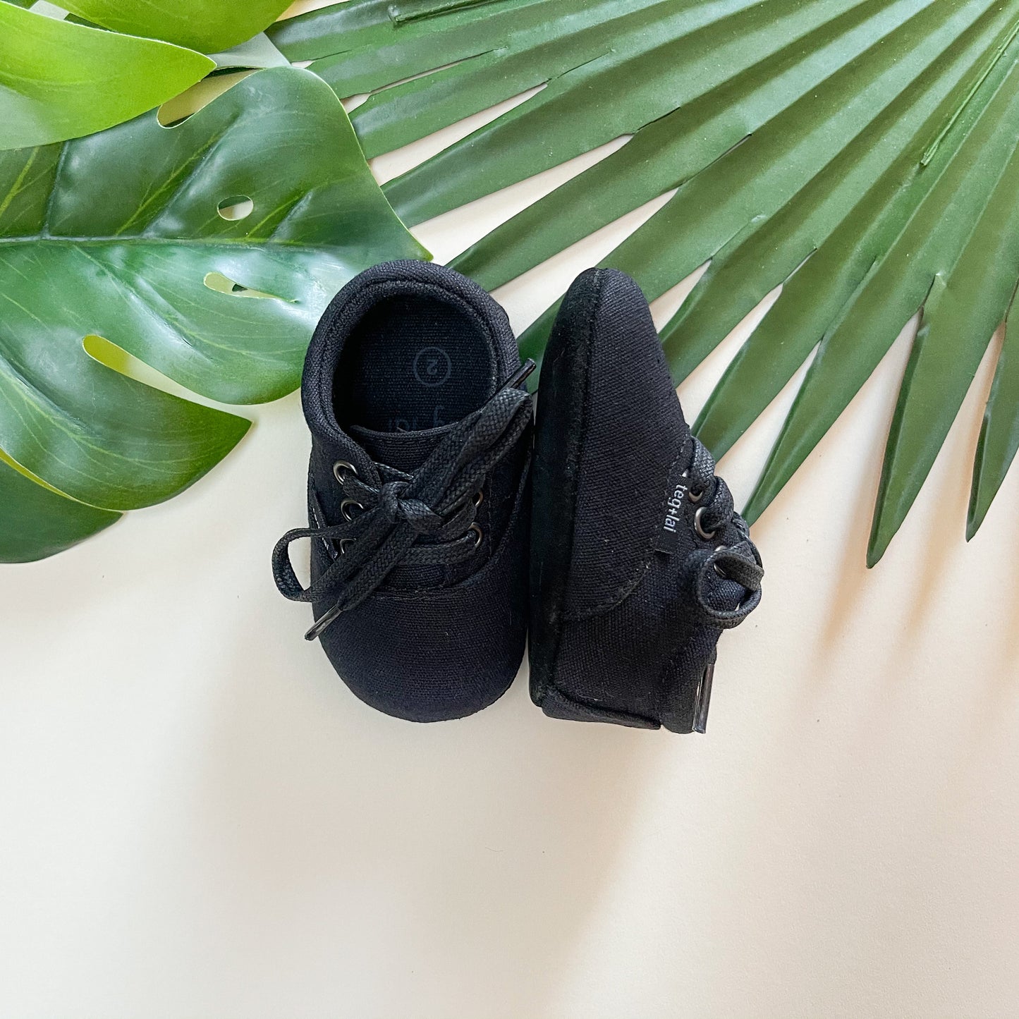Lace Up Canvas Ebony