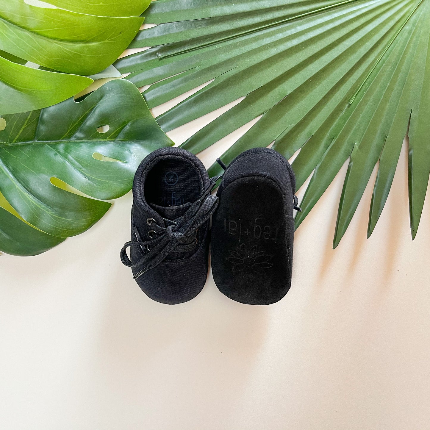 Lace Up Canvas Ebony