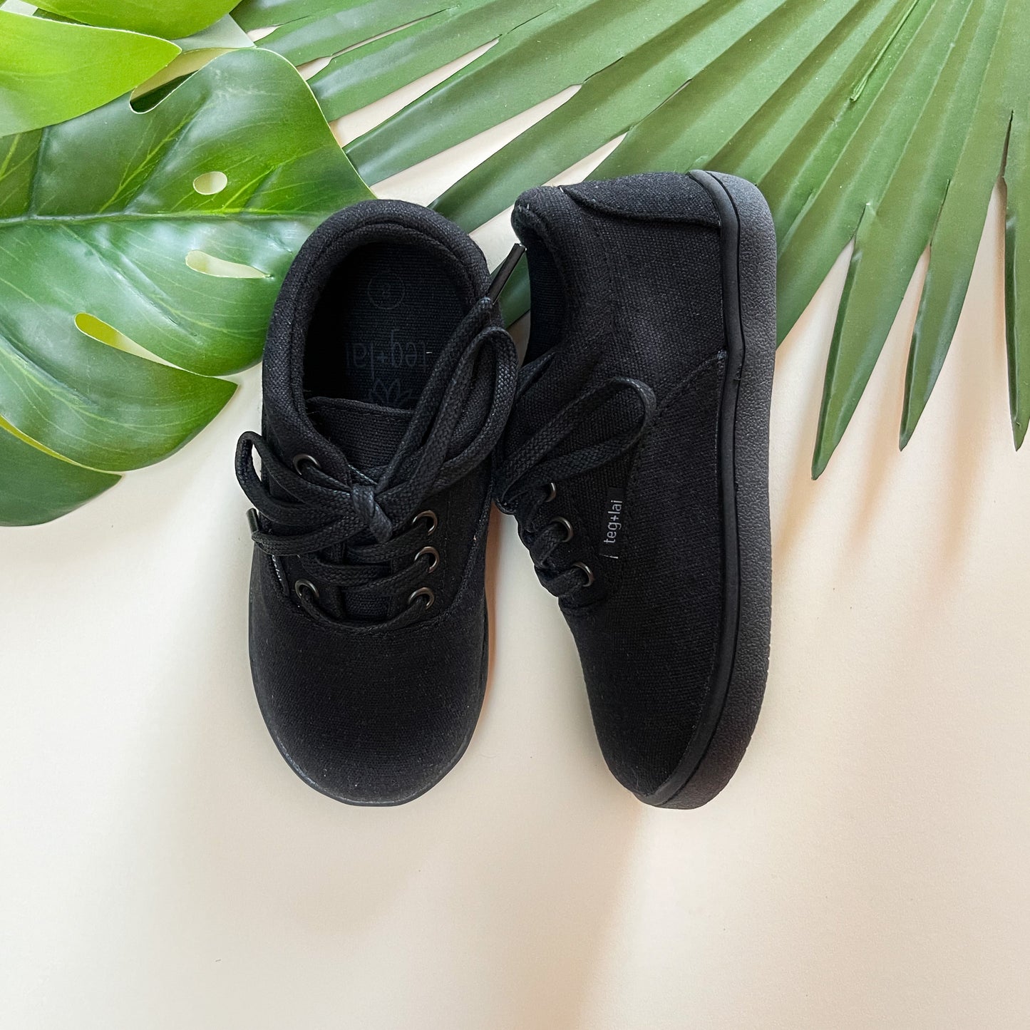 Lace Up Canvas Ebony